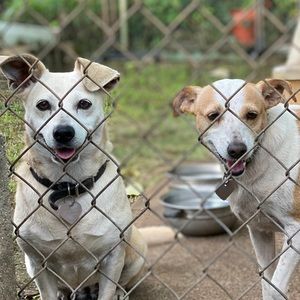 Meet your Posher, Vernelle